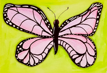 This is a rare pink butterfly caught on camera